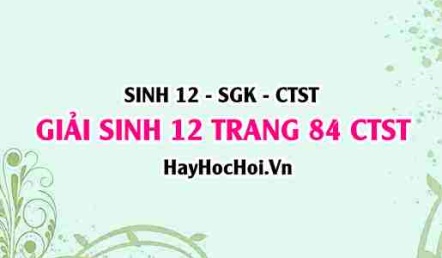 Giải Sinh 12 trang 84 Chân trời sáng tạo SGK